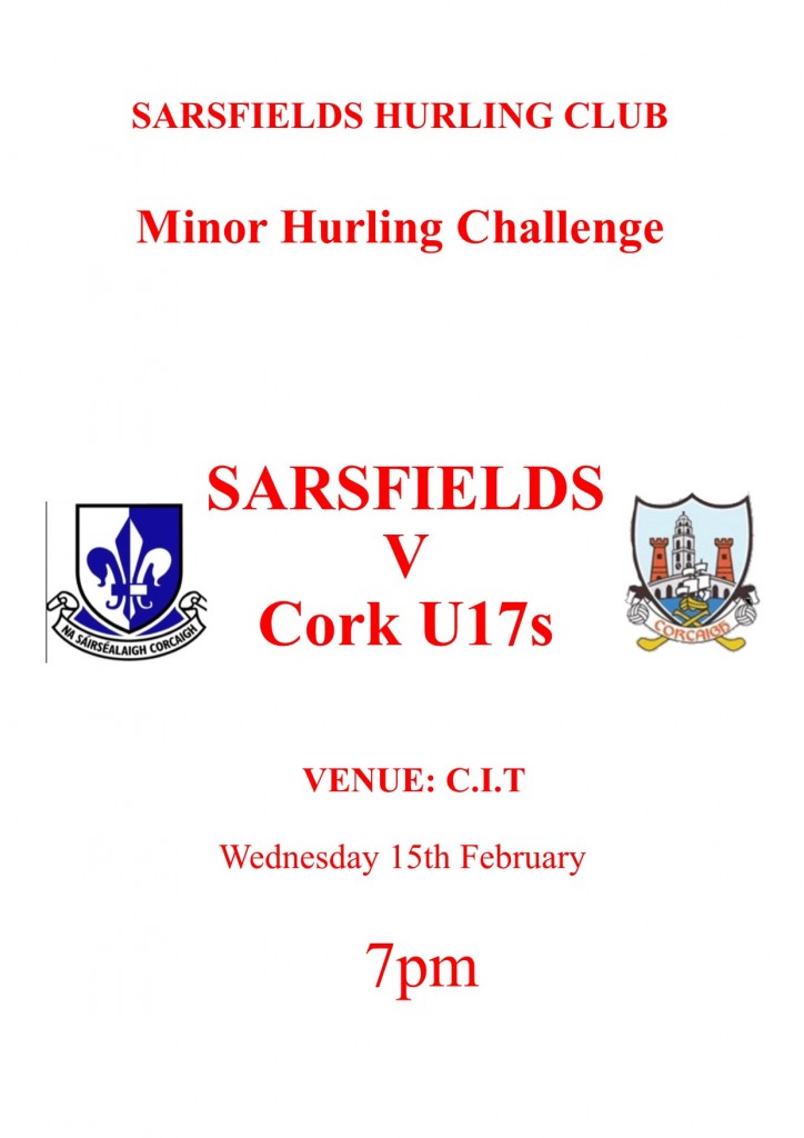 Sarsfields v Cork U17s